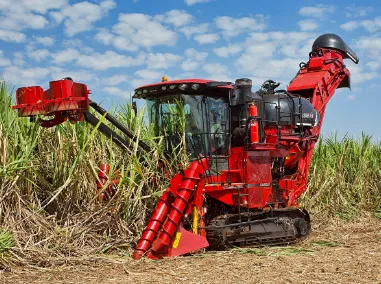 Cosechadora de caña de azúcar roja trabajando en el cañaveral